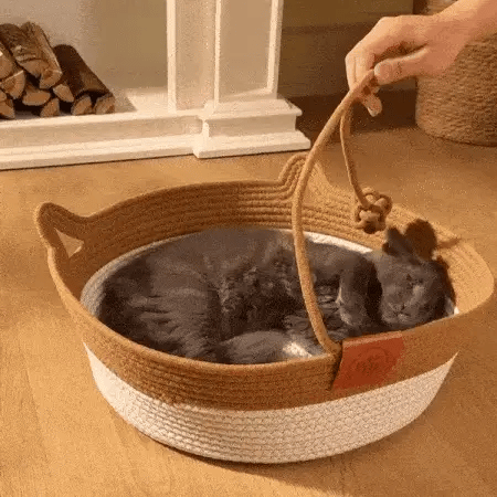 Heeft jouw kat echt eigen territorium?
