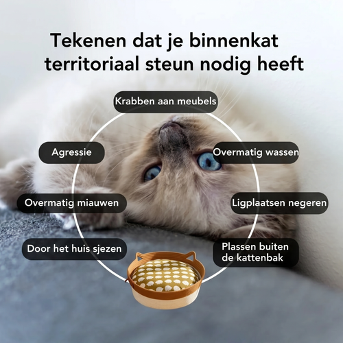 Instinct Mand | Ontdek het eerste wetenschappelijk onderbouwde natuurlijke territorium voor binnenkatten
