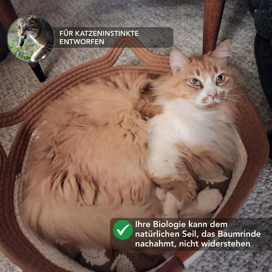 Instinkt Katzenkorb | Entdecke den ersten wissenschaftlich fundierten natürlichen Rückzugsort für Wohnungskatzen