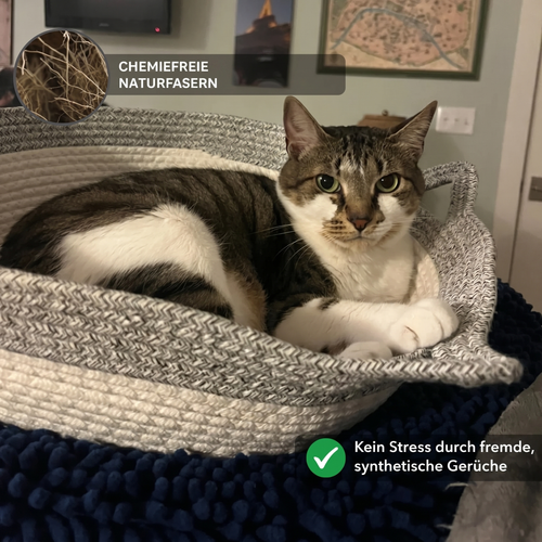 Instinkt Katzenkorb – Natürlicher Rückzugsort für Wohnungskatzen