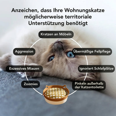 Instinkt Katzenkorb | Entdecke den ersten wissenschaftlich fundierten natürlichen Rückzugsort für Wohnungskatzen