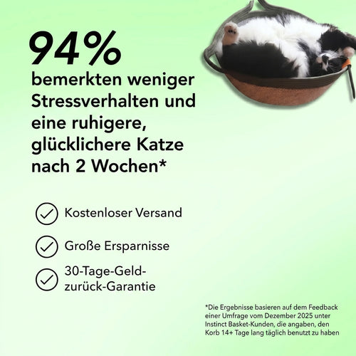 Instinkt Katzenkorb – Natürlicher Rückzugsort für Wohnungskatzen
