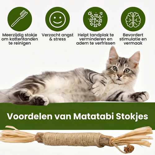 Natuurlijke Matatabi Kauwstokjes