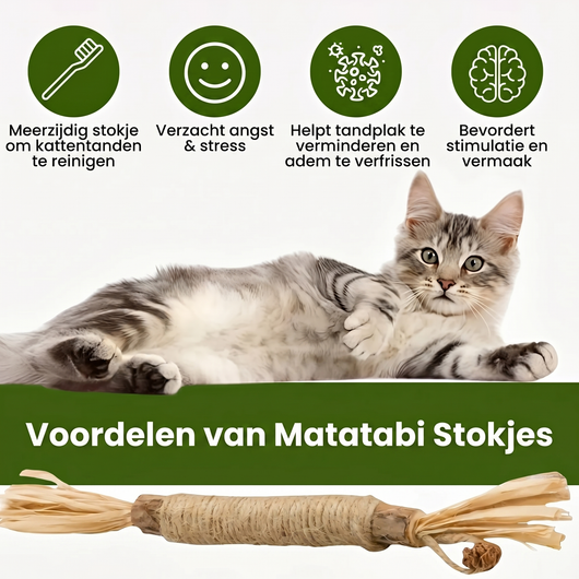 Natuurlijke Matatabi Kauwstokjes