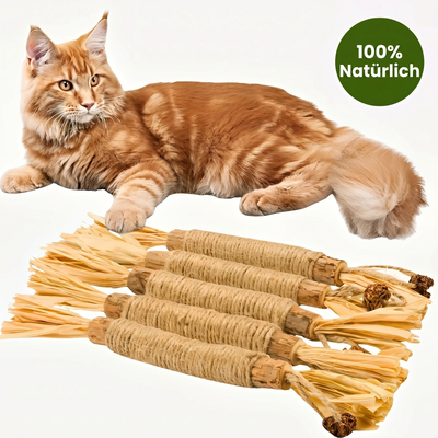 Natürliche Matatabi-Zahnpflege-Sticks