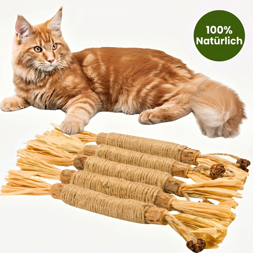 Natürliche Matatabi-Zahnpflege-Sticks