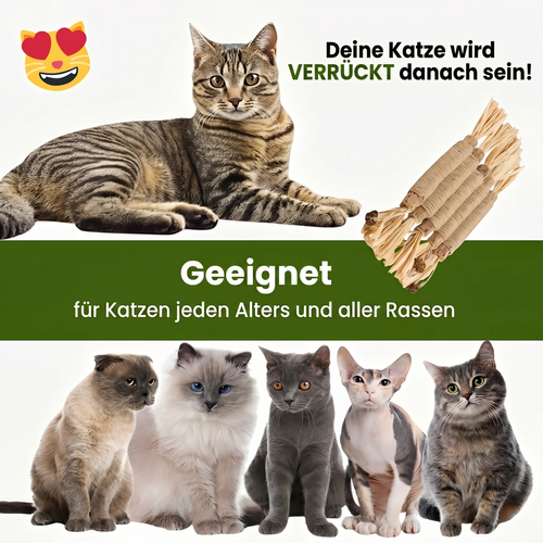 Natürliche Matatabi-Zahnpflege-Sticks