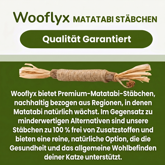 Natürliche Matatabi-Zahnpflege-Sticks