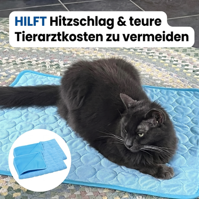 Schütze deine Katze vor Hitzschlag mit der Wooflyx™ Kühlmatte