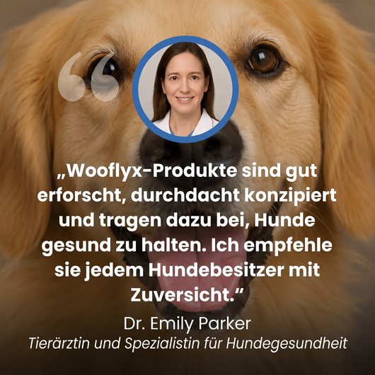 Schütze deinen Hund vor Hitzschlag mit der Wooflyx™ Kühlmatte