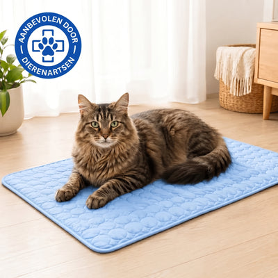 Bescherm je kat tegen een hitteberoerte met de Wooflyx™ koelmat