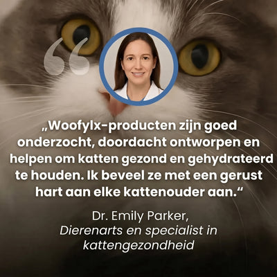 Bescherm je kat tegen een hitteberoerte met de Wooflyx™ koelmat